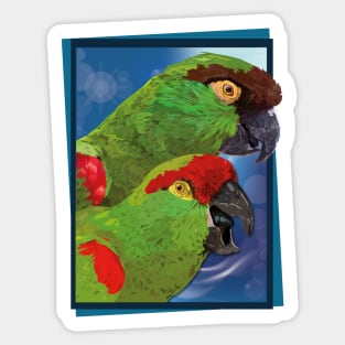 mountain parrot Sticker
